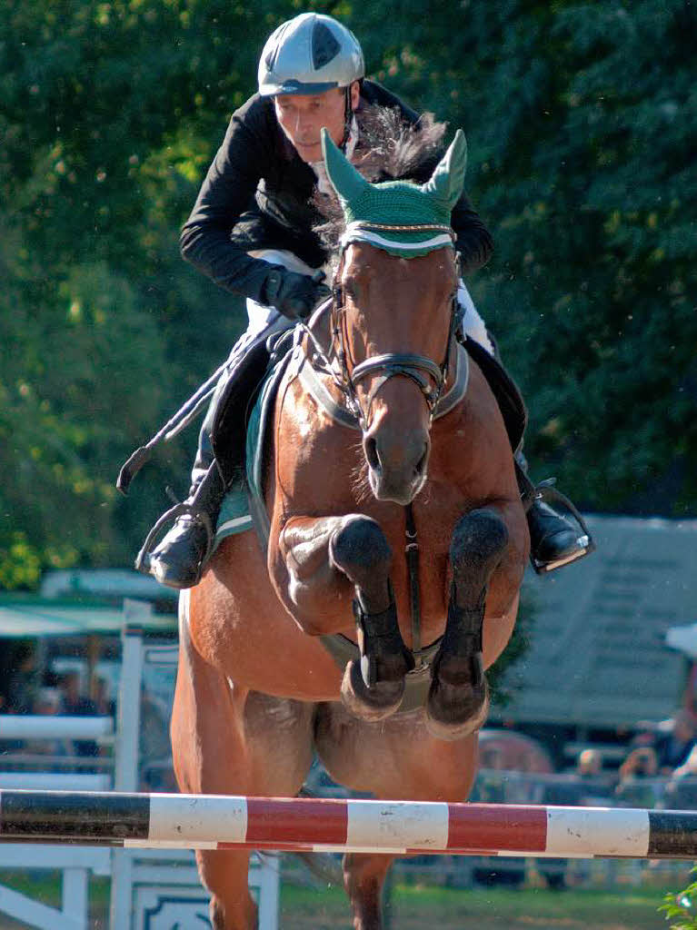 Pferdesport auf hohem Niveau: Vita Classica Reitturnier im Bad Krozinger Kurpark Pferdesport auf hohem Niveau: Vita Classica Reitturnier im Bad Krozinger Kurpark