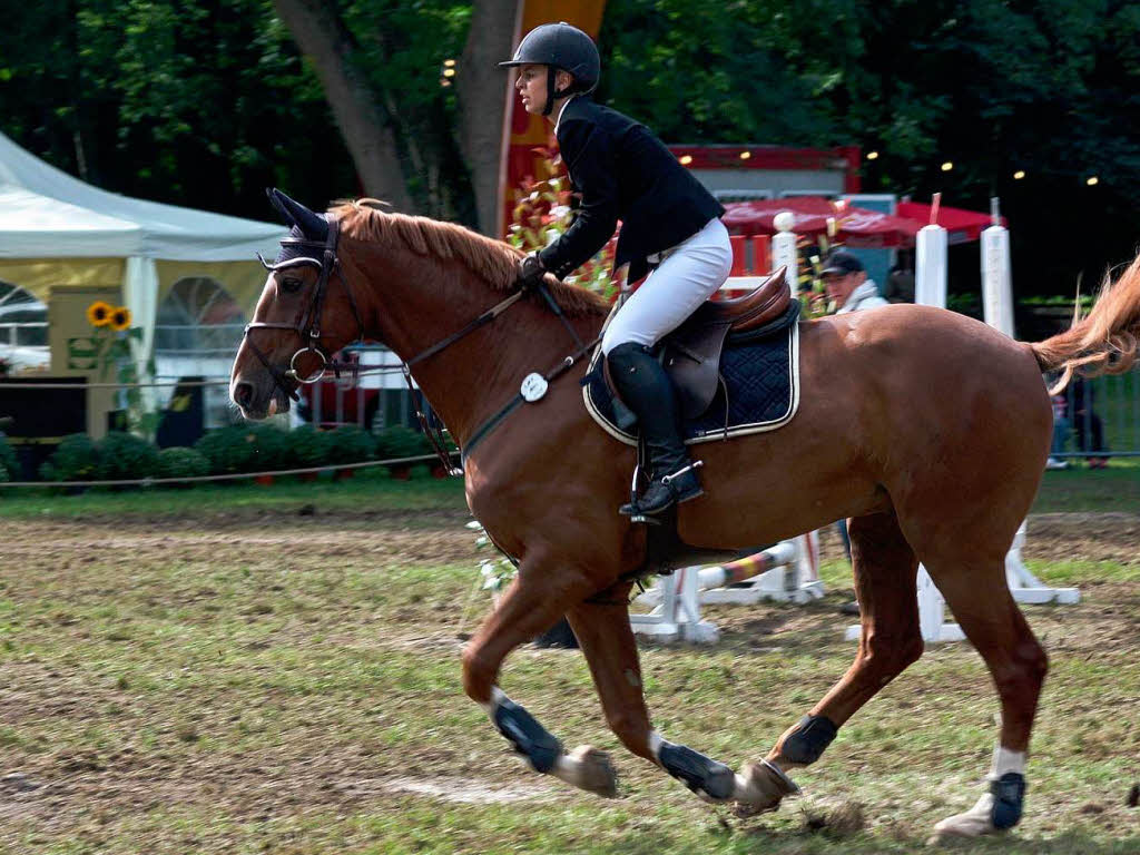 Pferdesport auf hohem Niveau: Vita Classica Reitturnier im Bad Krozinger Kurpark Pferdesport auf hohem Niveau: Vita Classica Reitturnier im Bad Krozinger Kurpark