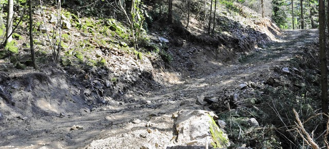 Diesen Weg hat der Forst im Hgelheime...gt, um Douglasien schlagen zu knnen.   | Foto: Volker Mnch