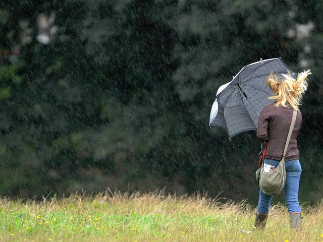 Regen und Wind zerren derzeit an so manchem Spaziergnger.  | Foto: ddp