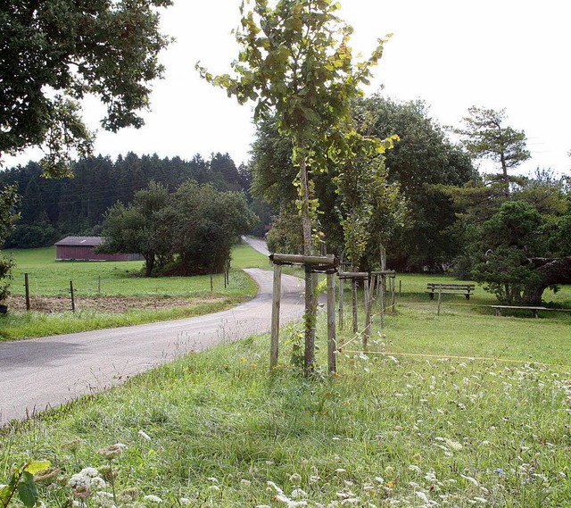 Viele Radfahrer, aber auch Autofahrer ...bersichtlichen Strecke als sinnvoll.   | Foto: Juliane Khnemund