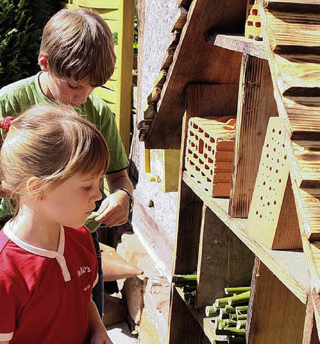 Wohnraum fr Insekten   | Foto: bund