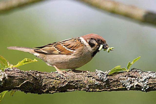 Mit Hebel der Natur auf der Spur