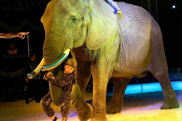 Afrikas Big Circus: Elefant frisst Handtasche
