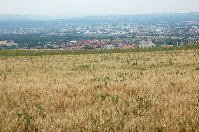 Wie sich Landwirtschaft und Naturschut...lassen wirft immer wieder Fragen auf.   | Foto: TRENZ