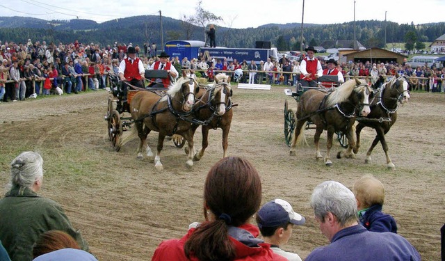 Gro und Klein, Alt und Jung zieht es zum Rossfest nach St. Mrgen.  | Foto: Monika Rombach