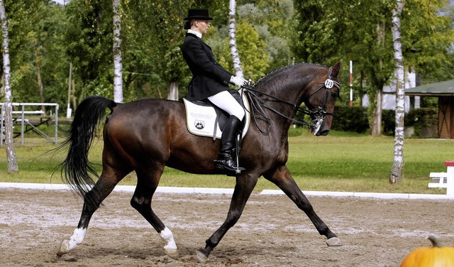 Auch die Dressur spielte eine Rolle in Meienheim.   | Foto: Archivfoto: Faruk nver