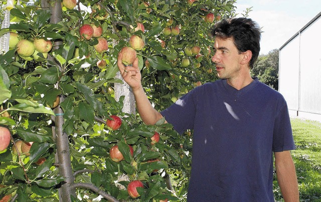 Bruno Preis sieht zuversichtlich der Apfelernte entgegen.    | Foto: Markus Baier