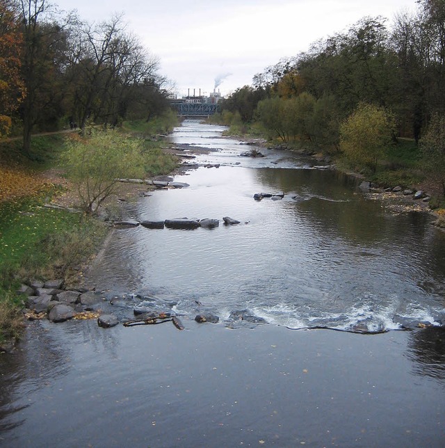 So wie die Wiese soll auch der &#8222;...offen durch die Langen Erlen flieen.   | Foto: Andrea Drescher