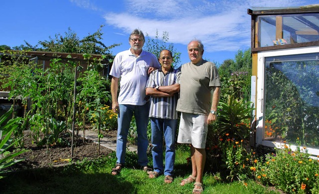 Die Kleingartenanlage bei Umkirch ist ... viele Liebe gepflegtes grnes Idyll.   | Foto: axel drber