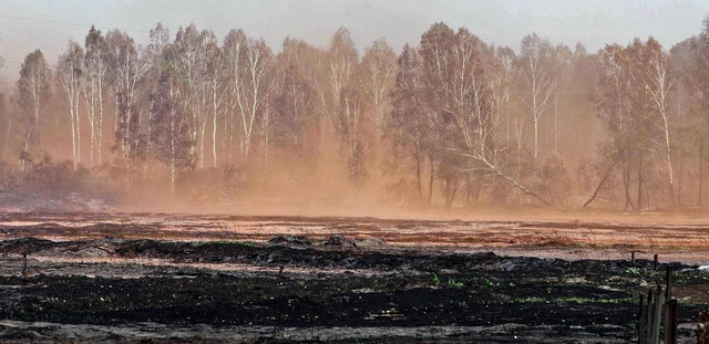 9000 Quadratkilometer Land sind verbrannt.   | Foto: AFP