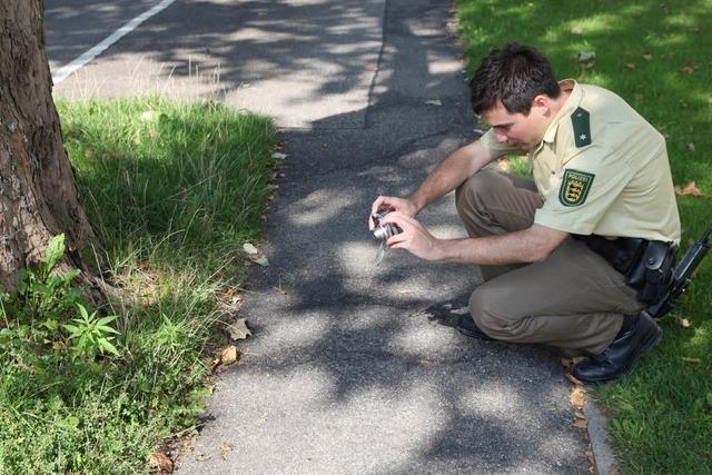 Fotos: Polizei vernichtet Cannabis in der Lrracher Strae