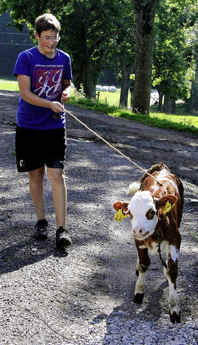 Julian Zimmermann macht das Landleben ...rt Julian ein ausgebxtes Kalb zurck.  | Foto: Eva Korinth