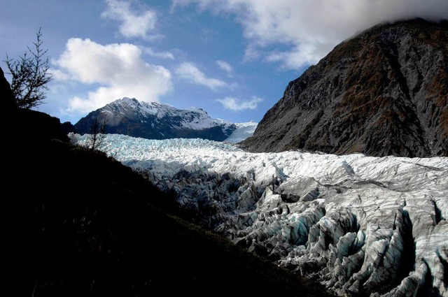 Der Fox-Gletscher in Neuseeland.  | Foto: dpa