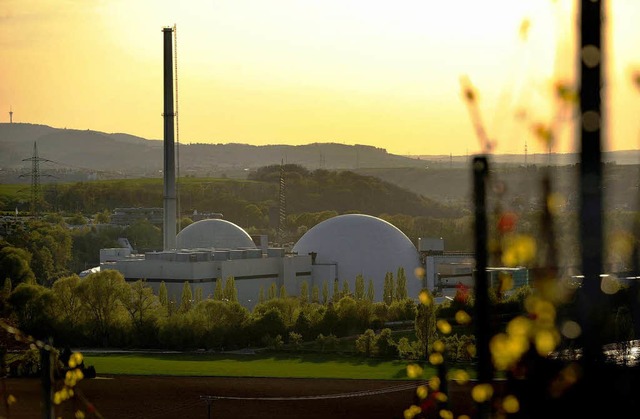 Die Blcke des Atomkraftwerkes  in Nec...  des zweitltesten deutschen Rektors.  | Foto: ddp