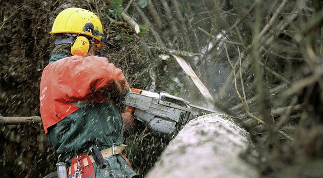 Bei der Ferienaktion zeigten die Jger...asten eines Baums  Przisionsarbeit.    | Foto: dpa