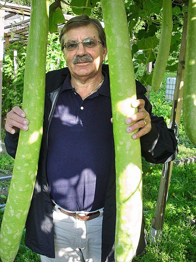 Riesen-Zucchini   | Foto: S. Ehrentreich