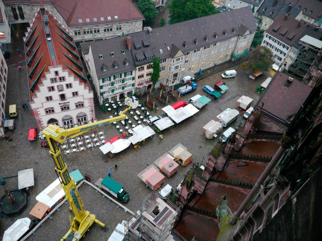 Fenstersichtung am Freiburger Mnster.