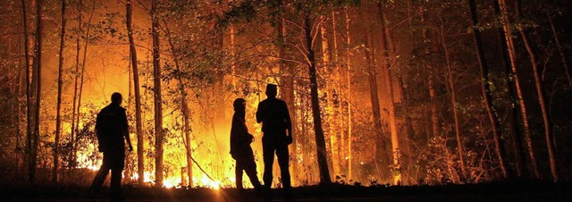 Bislang keine Auswirkungen hierzulande: Waldbrnde in Russland  | Foto: dpa