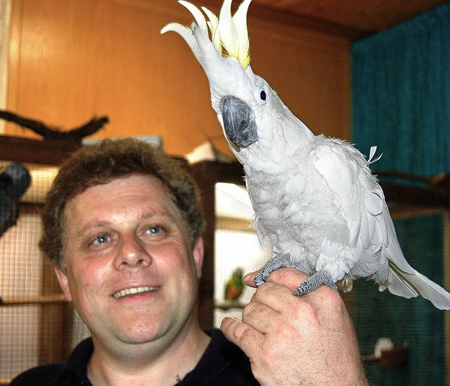 Edgar Tausch mit seinem  Gelbhaubenkakadu &#8222;Chiko&#8220;  | Foto: Paul Berger