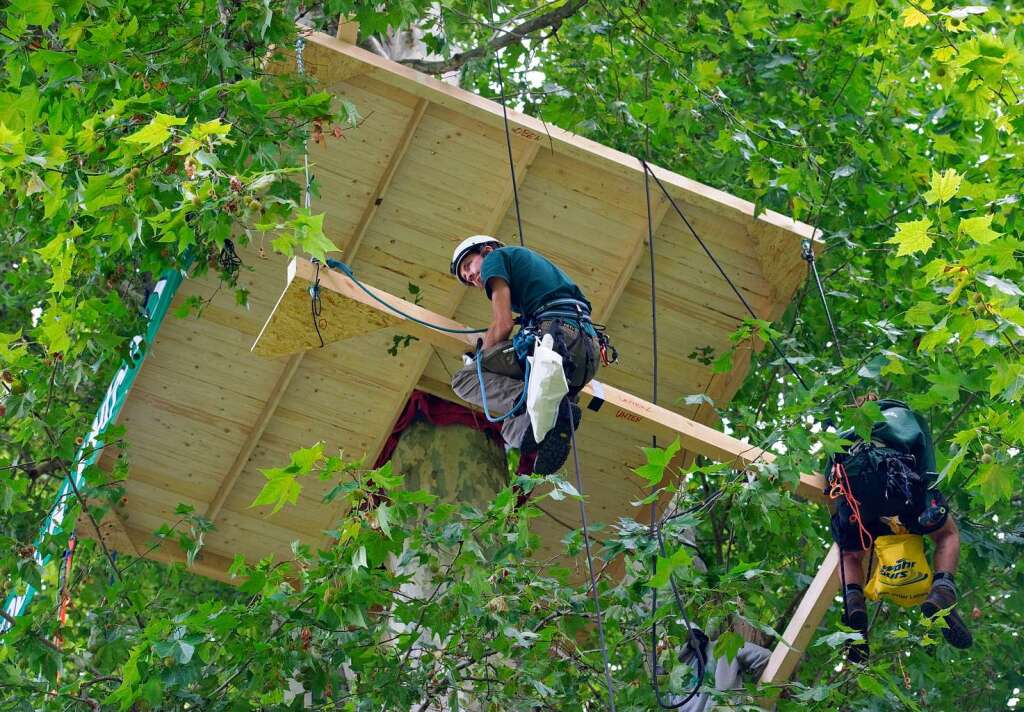 Aktivisten der Umweltschutzorganisation "Robin Wood" bauten  in Stuttgart im Schlossgarten ein Baumhaus.