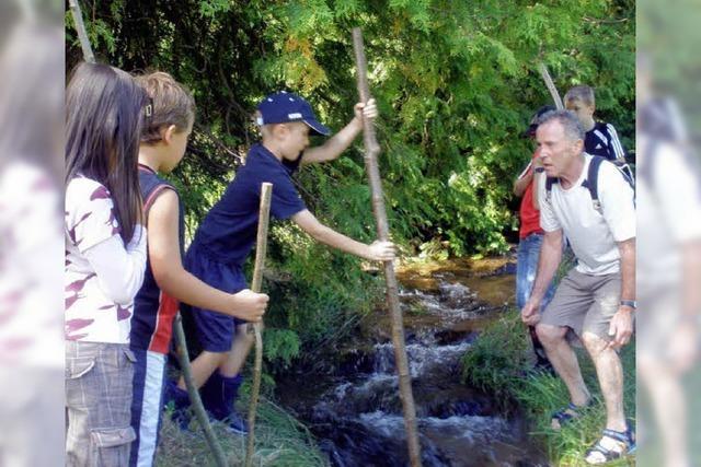 Kander und Maisenbach – ein nasses Abenteuer