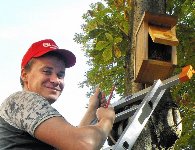 David Brsch vom Garten- und Tiefbauam...krzlich erfolgten Nistkastenkontrolle  | Foto: Hella Heuer-Klug