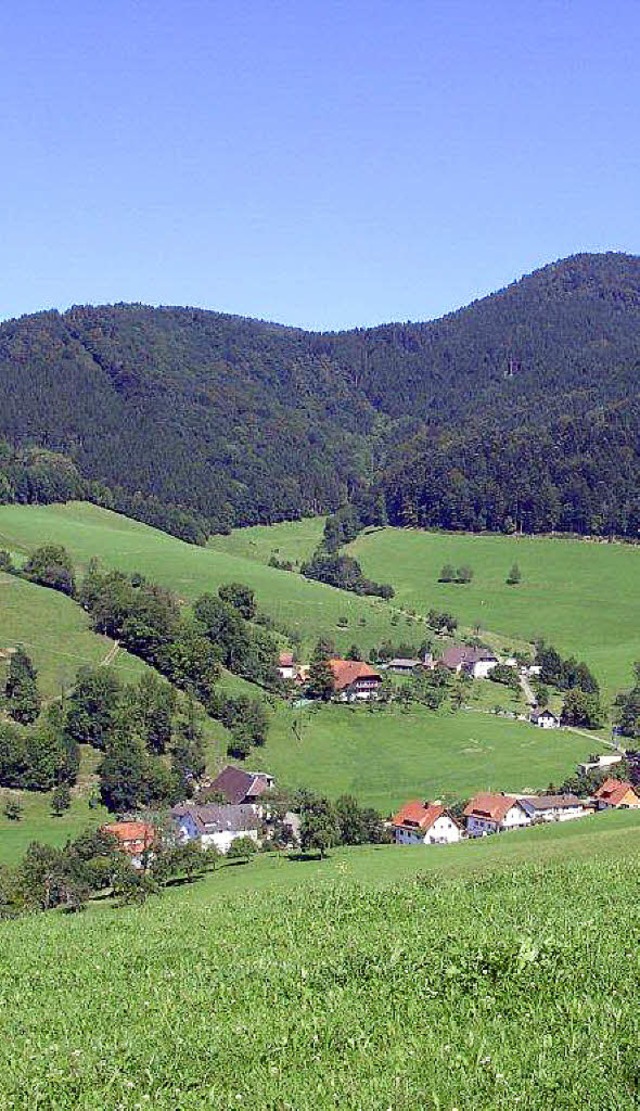 Wissenswertes beim Wandern erfahren: F...leiten Interessierte auf dem Brotweg.   | Foto: Disch