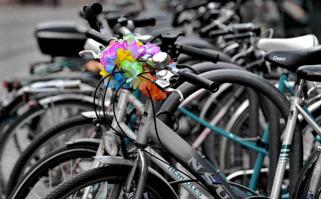 Der Stolz des sich fortbewegenden Freiburger: Das Fahrrad. Tritt im Rudel auf und hat eine eingebaute Vorfahrt.