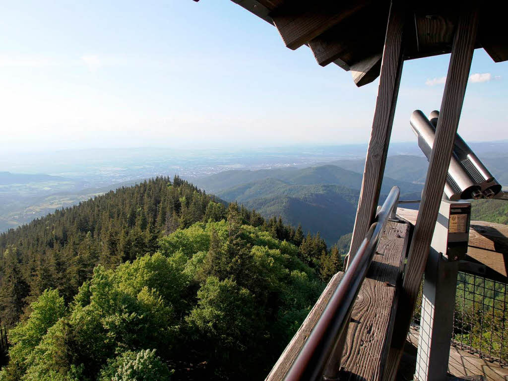 Schauinsland: Natur, so weit das Auge reicht. Da kommt man zur Ruhe.