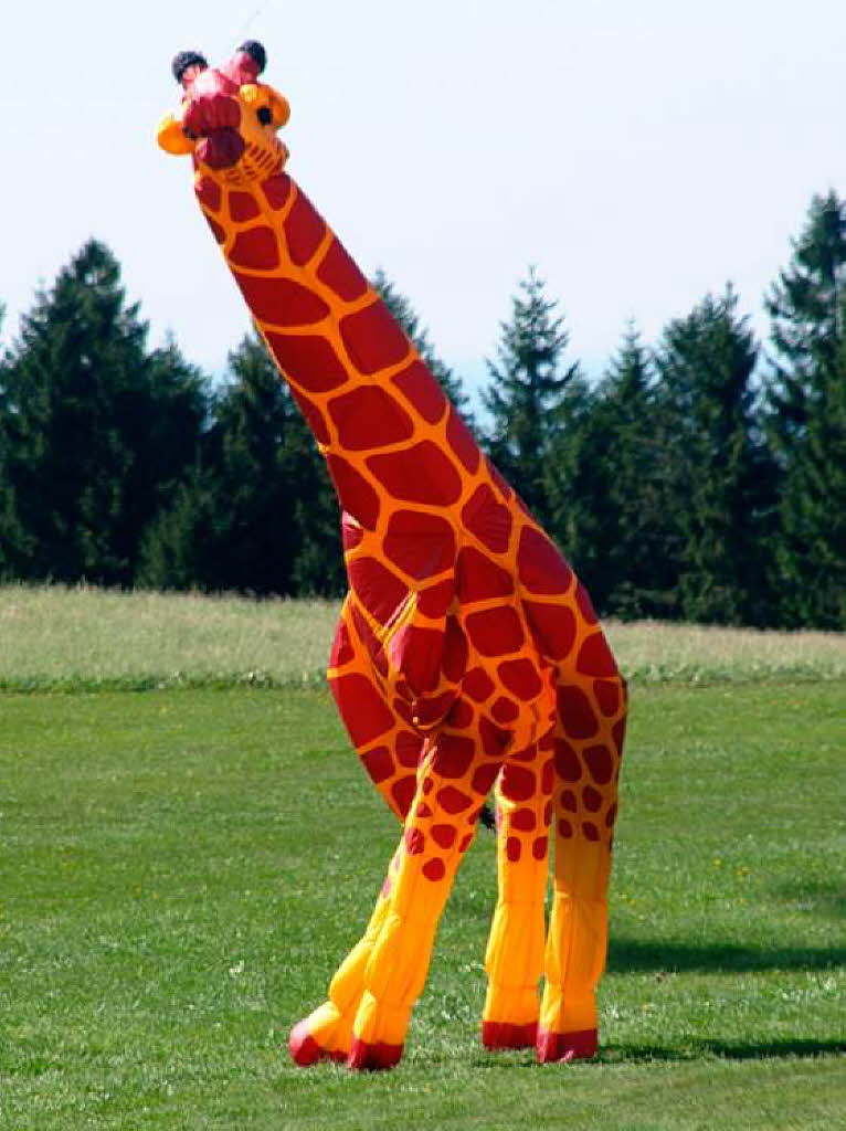 Auch eine riesenhafte Giraffe wankte wie eine Fata Morgana ber das Gras