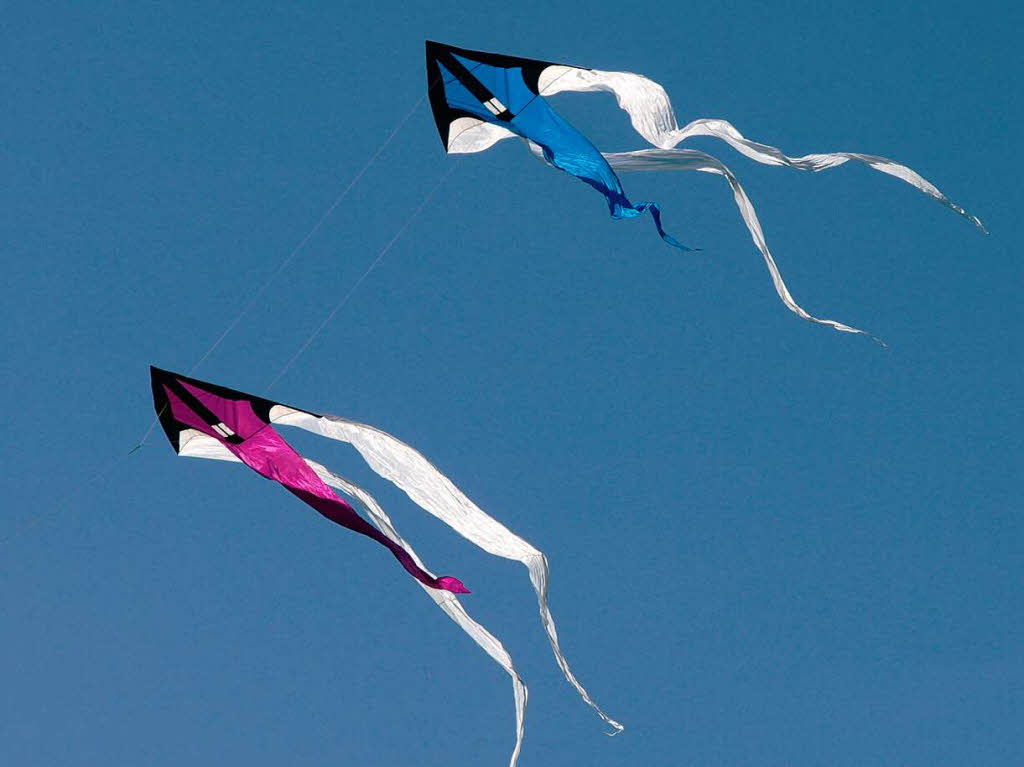 Drachen in allen erdenklichen Farben und Motivvarianten waren am strahlend blauen Himmel ber dem Segelflugplatz Htten zu sehen