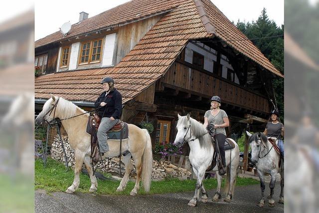 Auf dem Pferd durch den Schwarzwald