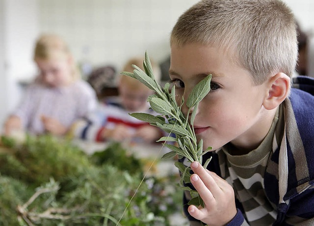 So schmeckt Salbei. Ein Junge riecht b...Kinderferienprogramms an dem Stengel.   | Foto: Christoph Breithaupt