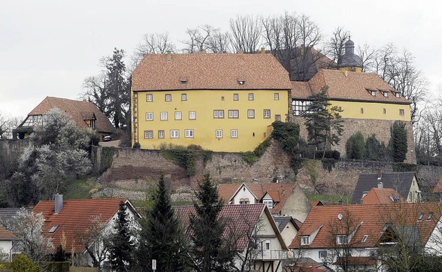 Das Mahlberger Schloss. Rund ums Wahrz...s zur Stadtverschnerung getan werden.  | Foto: bz