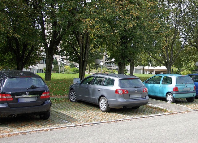 Noch kann im Bad Sckinger Kurgebiet k...Parkscheinautomaten gefttert werden.   | Foto: hildegard siebold