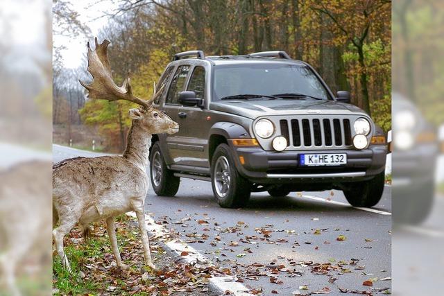 Groe Tiere kosten extra