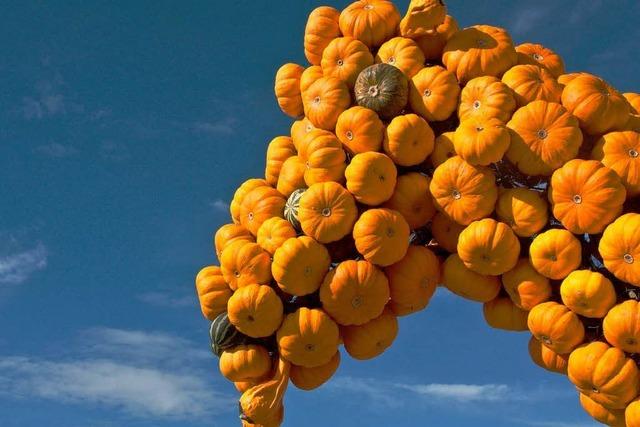 Fotos: Farben des Herbstes - Krbis-Schau in Hartheim