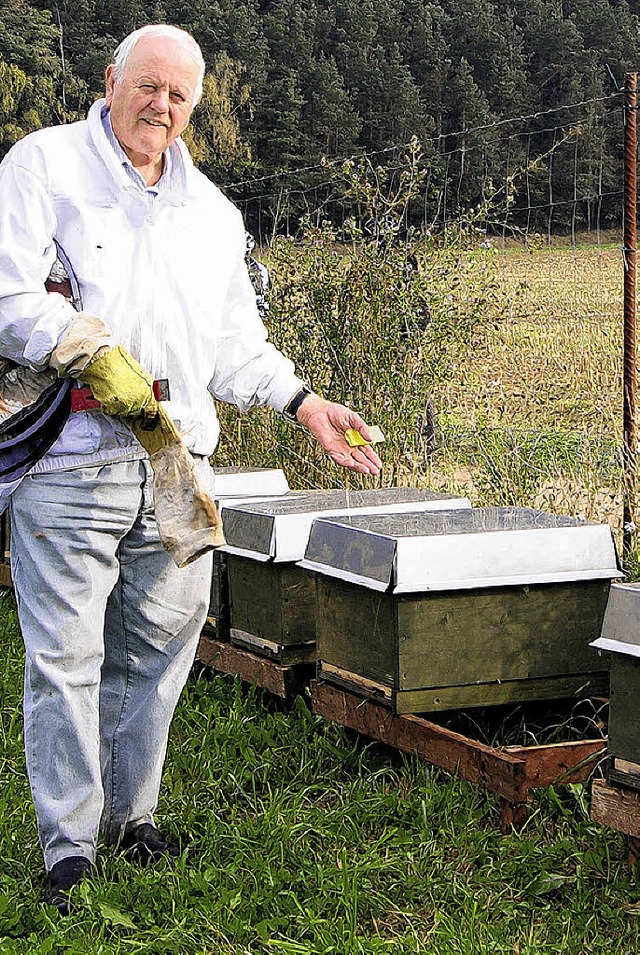 Fnf solche Bienenksten vermisst Imker Klaus Werner.   | Foto: huber