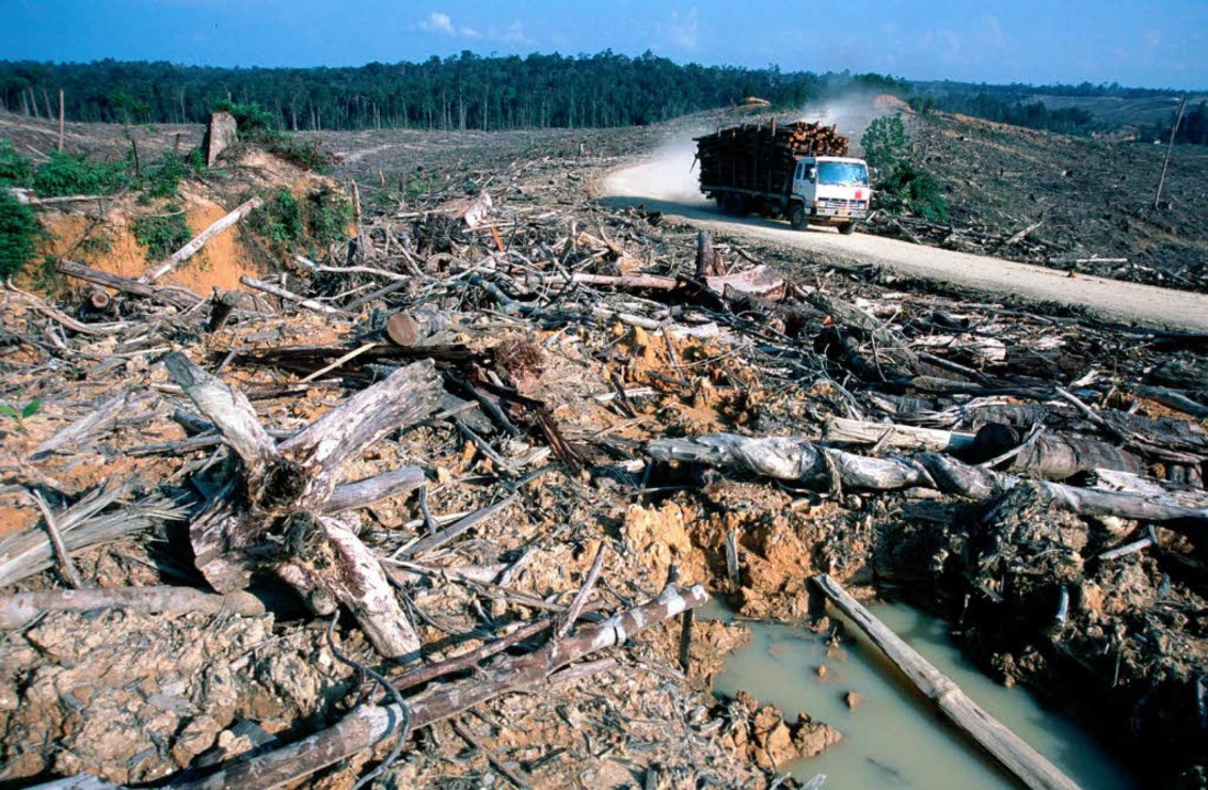 Folgen Der Abholzung Des Regenwaldes Ecuador lebt vom Öl – und nimmt die Abholzung des Regenwalds in Kauf