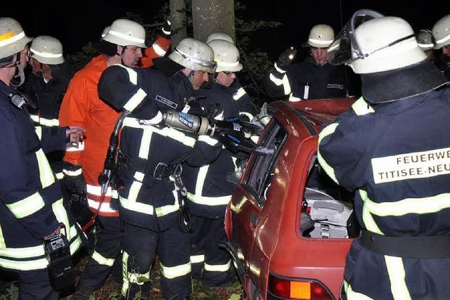 Blaulicht blinkt im Wald