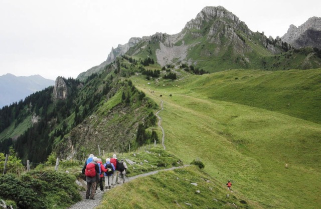 Auf schmalen Pfaden: Die Wandergruppe auf dem Weg zum nchsten Gipfel.   | Foto: privat