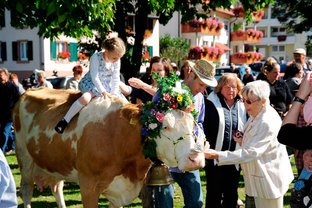 Impressionen vom Almabtrieb in Simonswald und der Bauernolympiade Impressionen vom Almabtrieb in Simonswald und der Bauernolympiade
