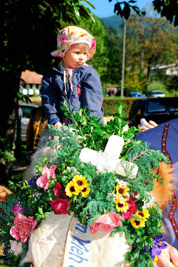 Impressionen vom Almabtrieb in Simonswald und der Bauernolympiade Impressionen vom Almabtrieb in Simonswald und der Bauernolympiade