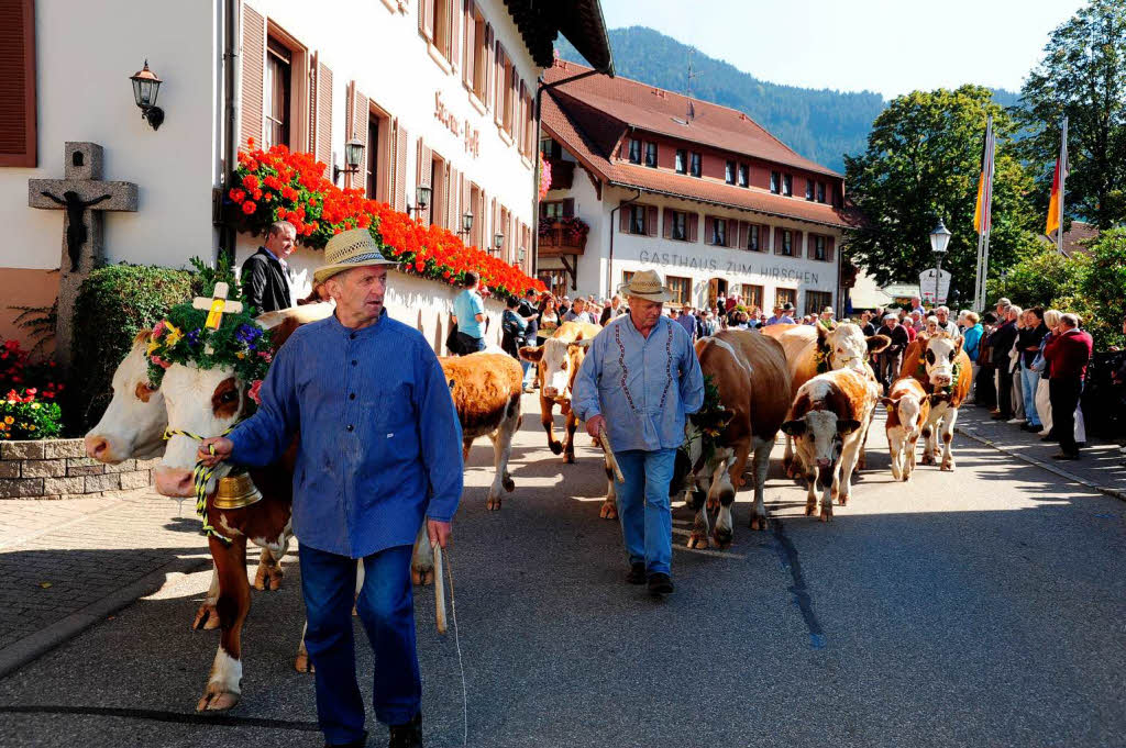 Impressionen vom Almabtrieb in Simonswald und der Bauernolympiade Impressionen vom Almabtrieb in Simonswald und der Bauernolympiade