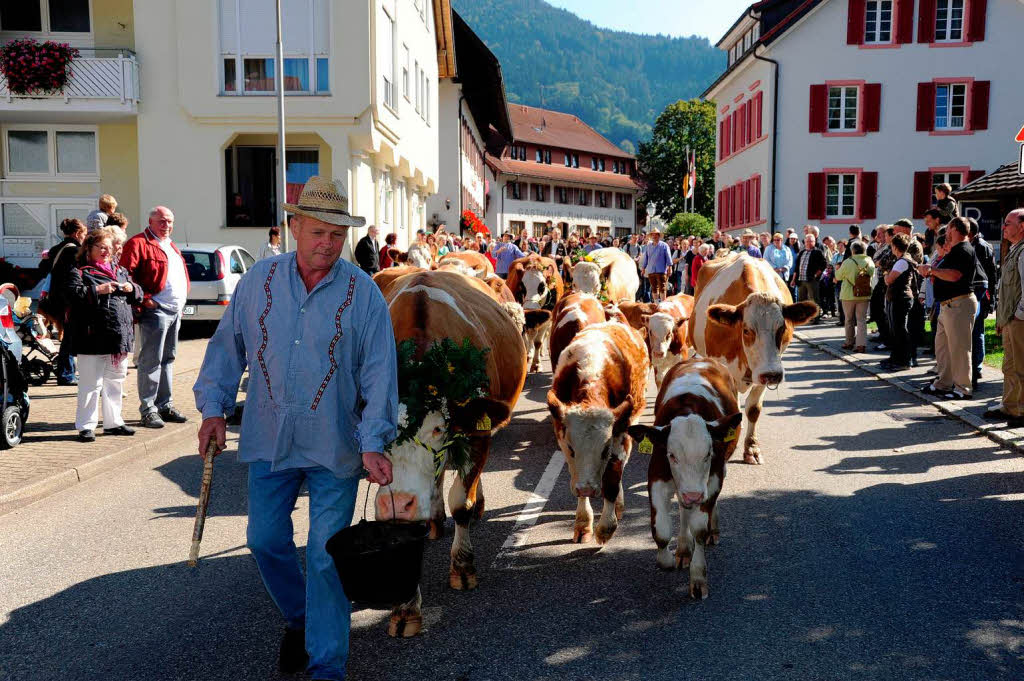 Impressionen vom Almabtrieb in Simonswald und der Bauernolympiade Impressionen vom Almabtrieb in Simonswald und der Bauernolympiade