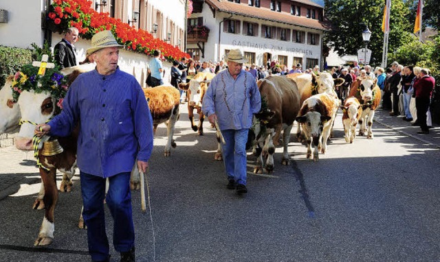 Angefhrt von gestandenen Landwirten z... durch die Kirchstrae zum Festplatz.   | Foto: Dauenhauer