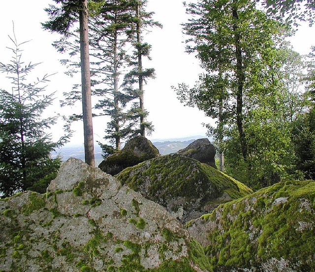 Malerische Felsformationen im Wald be...acher Schloss  und die Engelskanzel...  | Foto: Hubert Wernet