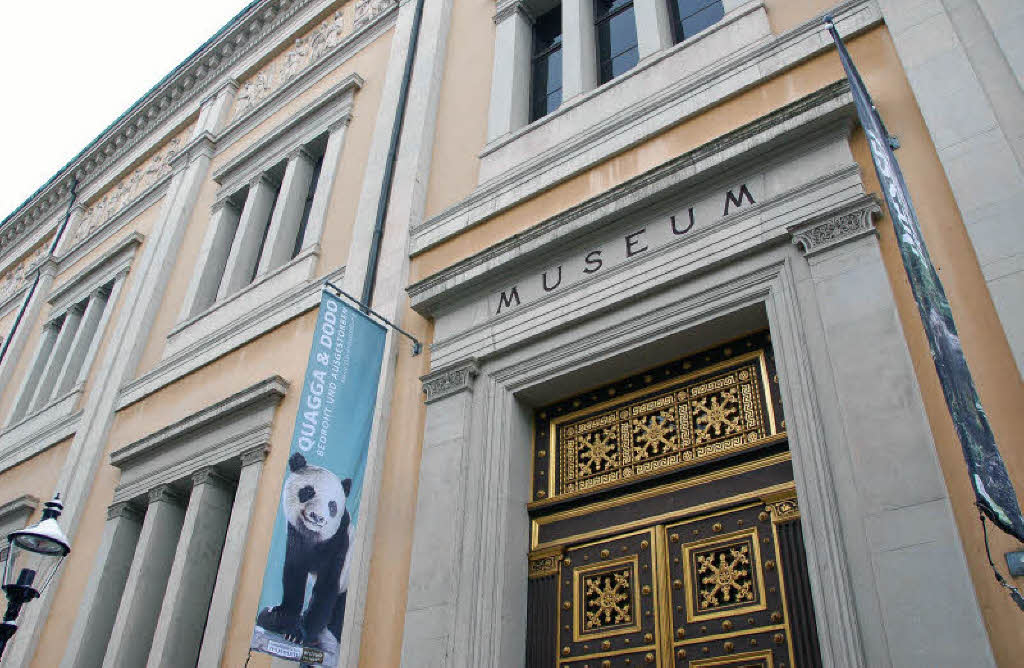 Naturhistorisches Museum zieht um Basel Badische Zeitung