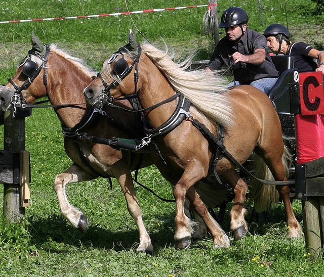 Ringmeister bei  Pony-Zweispnnern: Bernhard Riesterer   | Foto: Birkenhofer